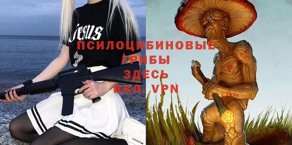 марки lsd Богородицк