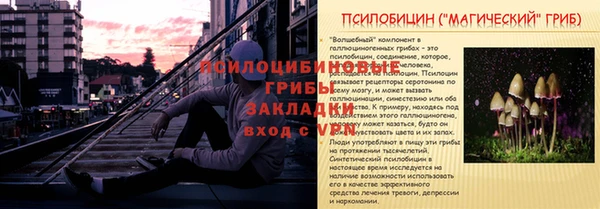 таблы Богданович