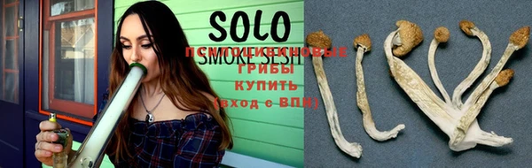 таблы Богданович