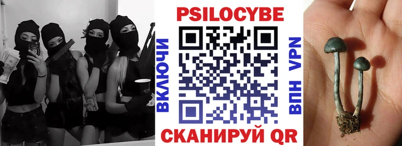 Купить закладки  Кубинка  Псилоцибиновые грибы Cubensis 